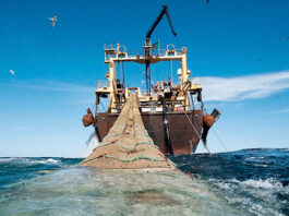 Le Maroc salue ses marins à l’occasion de la Journée mondiale des gens de mer