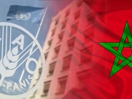 Le Maroc reconduit au Conseil de la FAO jusqu’en 2029