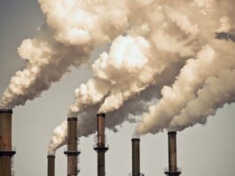 Casablanca mise sur le Green Assets Cluster pour structurer le marché du carbone