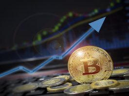 Le bitcoin inscrit un nouveau record à plus de 124 500 dollars