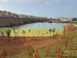 Casablanca achève la réhabilitation de la Dayet El Oulfa pour en faire un espace vert ouvert à tous.