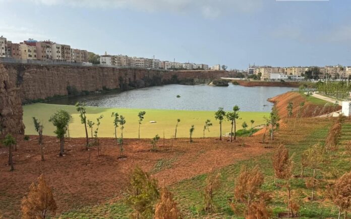 Casablanca achève la réhabilitation de la Dayet El Oulfa pour en faire un espace vert ouvert à tous.