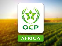 OCP Africa prépare une nouvelle gouvernance