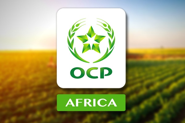 OCP Africa prépare une nouvelle gouvernance