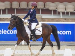 Semaine du Cheval 2025 : voici les podiums du Championnat Poney