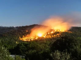 Incendies de forêts : alerte rouge sur Chefchaouen, Taounate et Taza