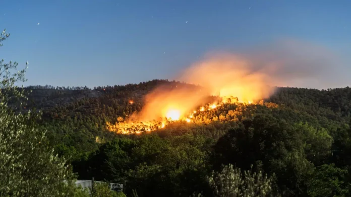 Incendies de forêts : alerte rouge sur Chefchaouen, Taounate et Taza
