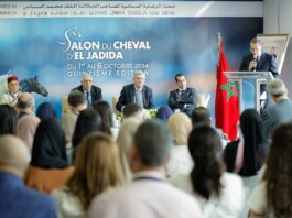 Bien-être équin et héritage culturel s’invitent au Salon du Cheval 2025
