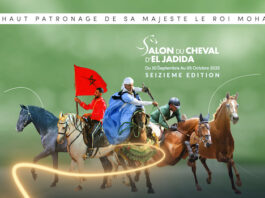 Un concours de poésie pour célébrer le cheval à El Jadida