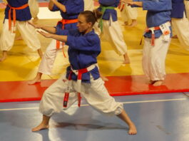 Casablanca accueille le championnat du monde de nanbudo les 26 et 27 septembre