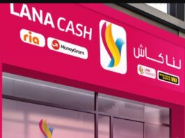 Lana Cash ouvre la voie au virement instantané