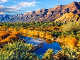 Le Maroc mobilise 10 millions de dollars pour sauver les oasis de Draâ