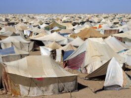 À Genève, le Maroc a dénoncé la situation humanitaire dans les camps de Tindouf et appelé le HCR à un enregistrement indépendant et un accès libre.