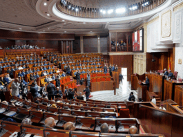 PLF 2026 : cinq ans sans impôt pour les sociétés sportives