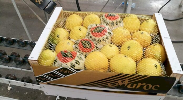 Les citrons marocains font une percée historique au Royaume-Uni