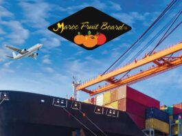 Maroc Fruit Board muscle son réseau logistique vers l’Europe et l’Amérique