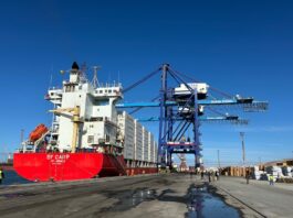 DP World lance une ligne maritime verte entre le Maroc et l’Europe