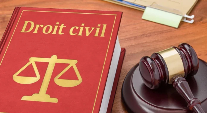 Le projet de loi 58.25 sur la procédure civile est de nouveau débattu au Parlement, après la décision de la Cour constitutionnelle en août.