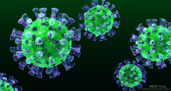 Virus MERS-CoV : que risque vraiment le Maroc ?