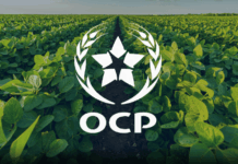OCP résiste aux tensions mondiales avec 48 milliards de dirhams de revenus OCP résiste aux tensions mondiales avec 48 milliards de dirhams de revenus