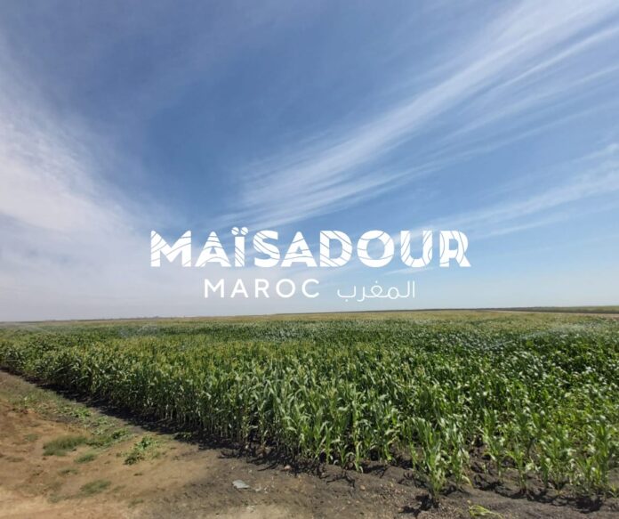 Maïsadour Maroc au cœur d’un rapprochement agricole