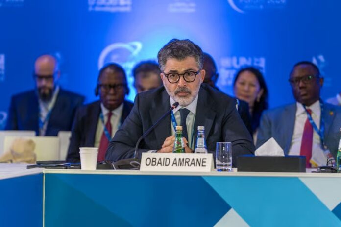 À Doha, Ithmar Capital défend le financement conjoint des projets africains